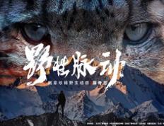 九游娱乐-祁连暴熊队对阵西城雪豹队，电竞半决赛惊险晋级，内线统治篮板——韧性与执行并存(狼队电竞和英超狼队)